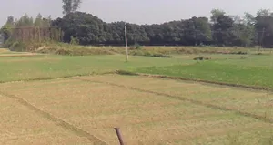 Suraiya Nagar, Madhya Pradesh 462042, India preview 3