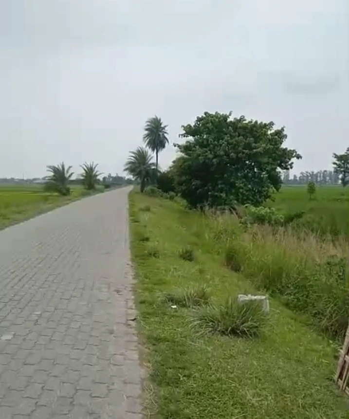 NH 37, Gotlong Main Rd, near All India Radio Center, Dolabari, Tezpur, Assam 784027, India
