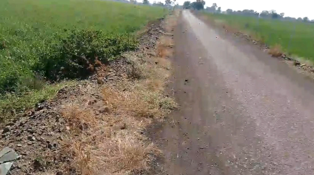 Banga, Punjab 144505, India