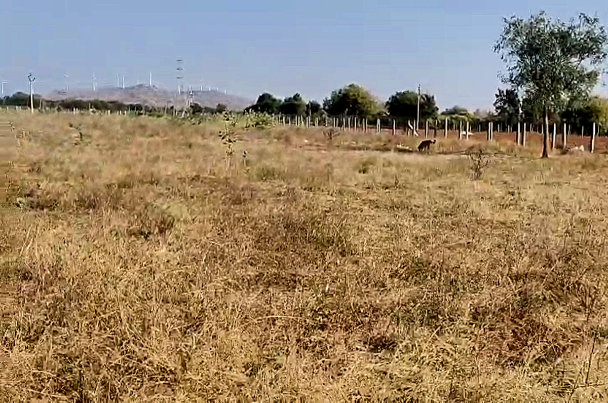 Thurakalapatnam, Andhra Pradesh 515123, India