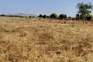 Thurakalapatnam, Andhra Pradesh 515123, India preview 3