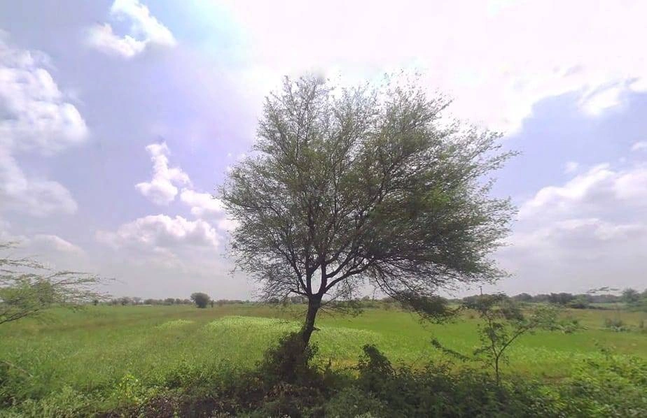 J26G+XQ Khokharwas, Rajasthan, India