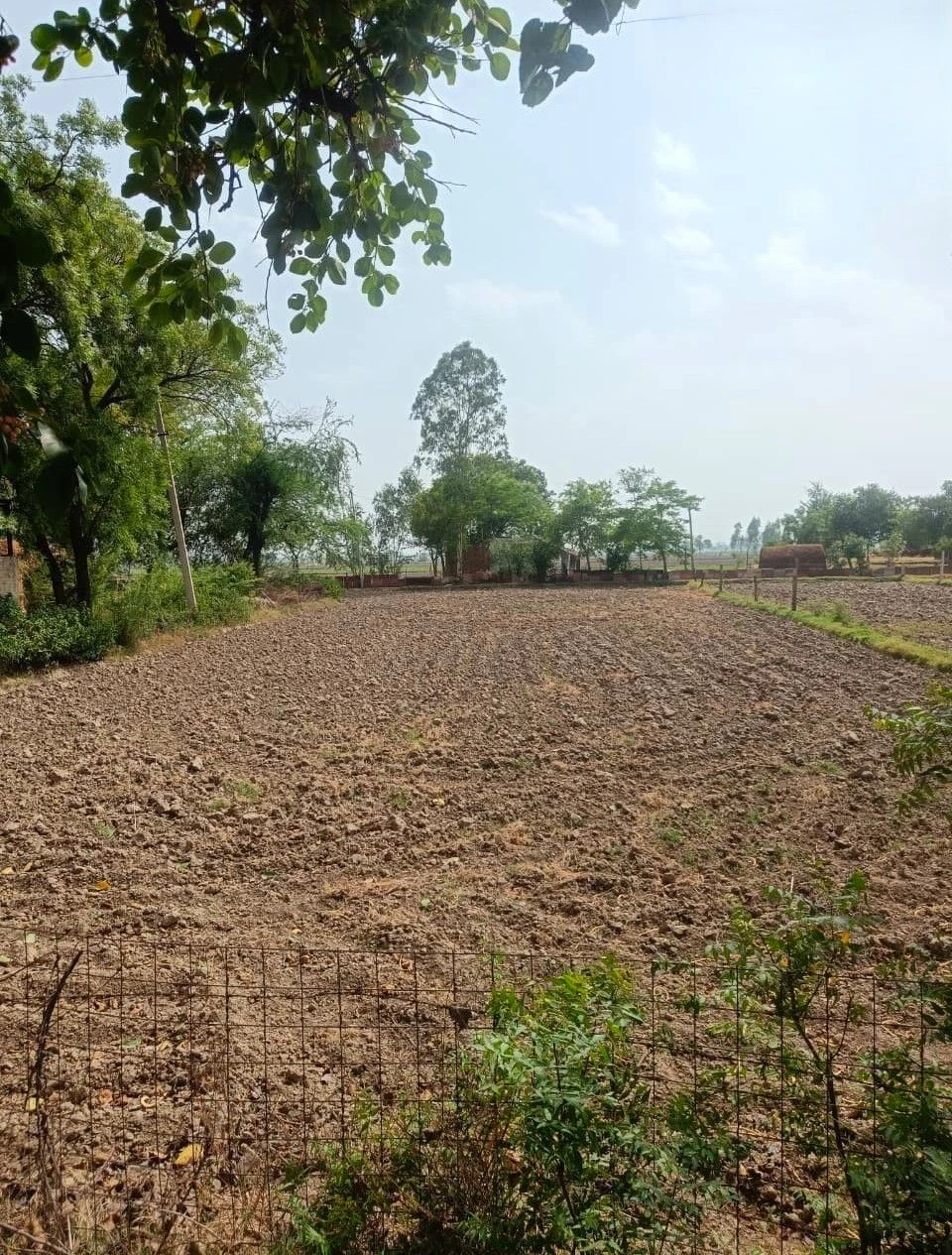 Langarwas, Rajasthan 301405, India