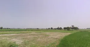 Dikadla, Haryana, India preview 2