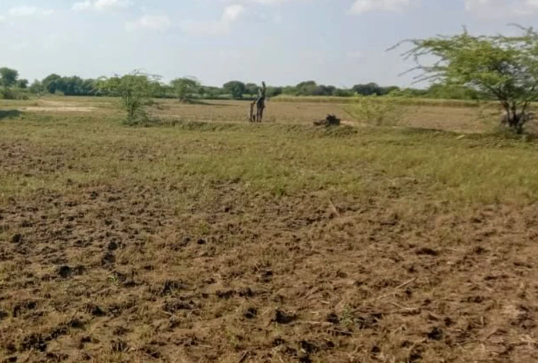 Ghorbhatt, Chhattisgarh 493225, India