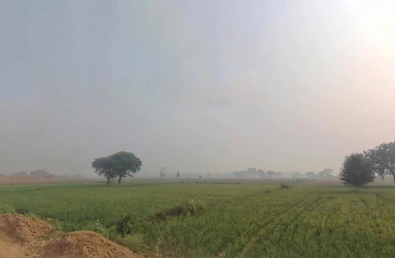 Naugawan, Rajasthan 301411, India preview 2