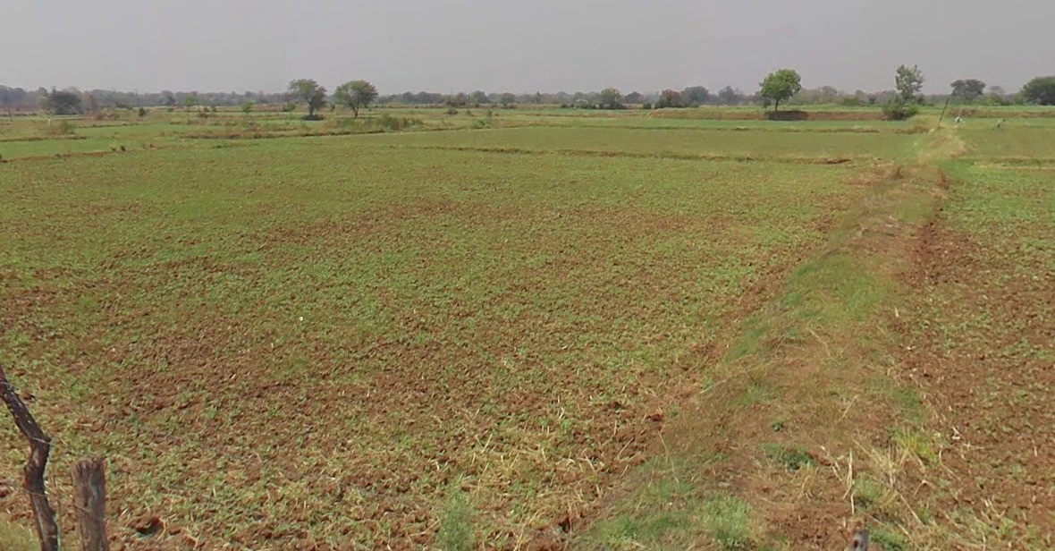 Bahediya, Madhya Pradesh 464651, India