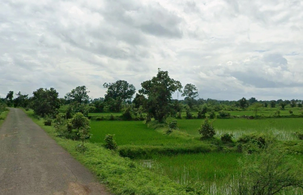 Khamariya, Chhattisgarh 490020, India