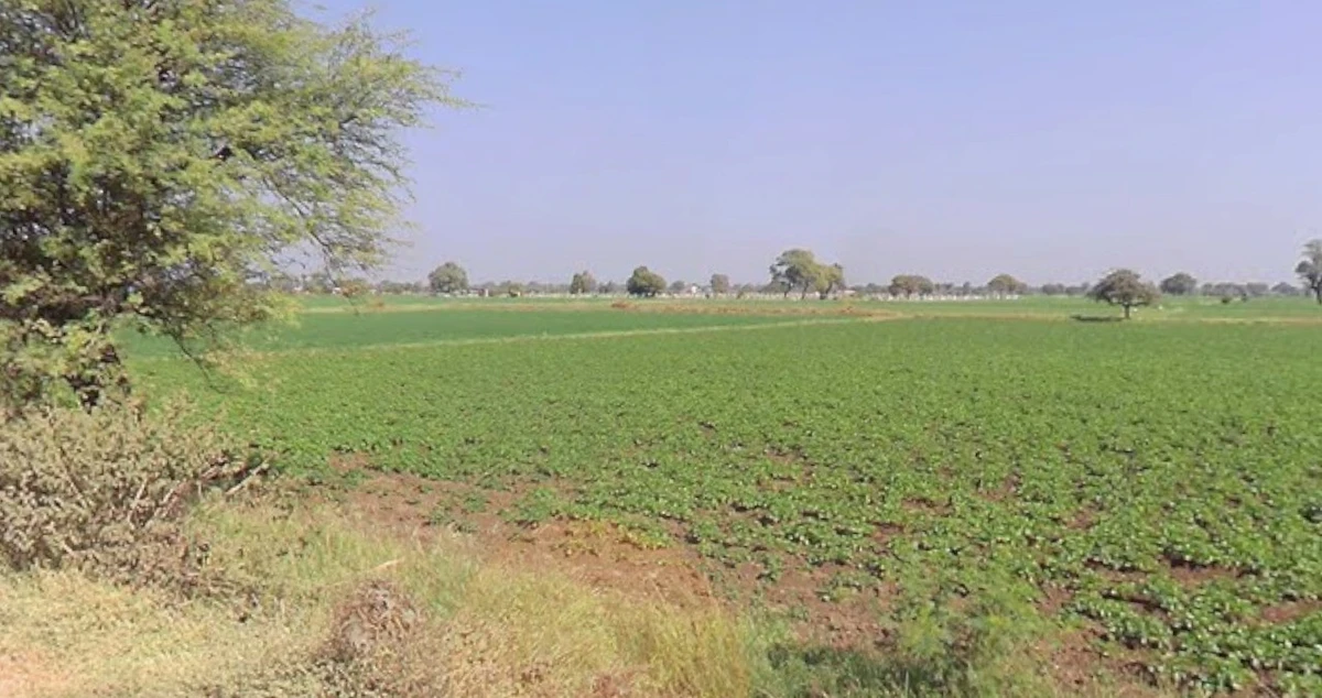 Lalpura, Madhya Pradesh 465683, India