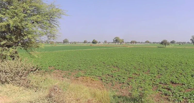 Lalpura, Madhya Pradesh 465683, India preview 3