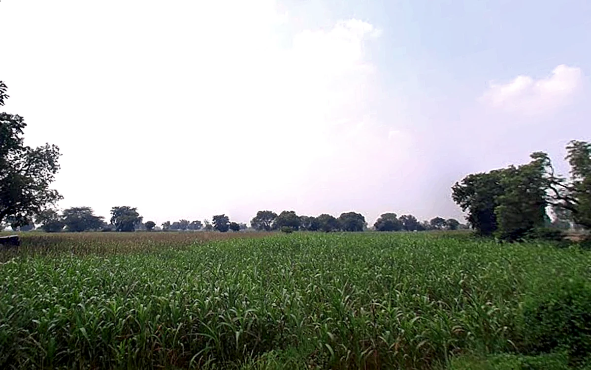 Barsana Rd, Chhata, Uttar Pradesh, India