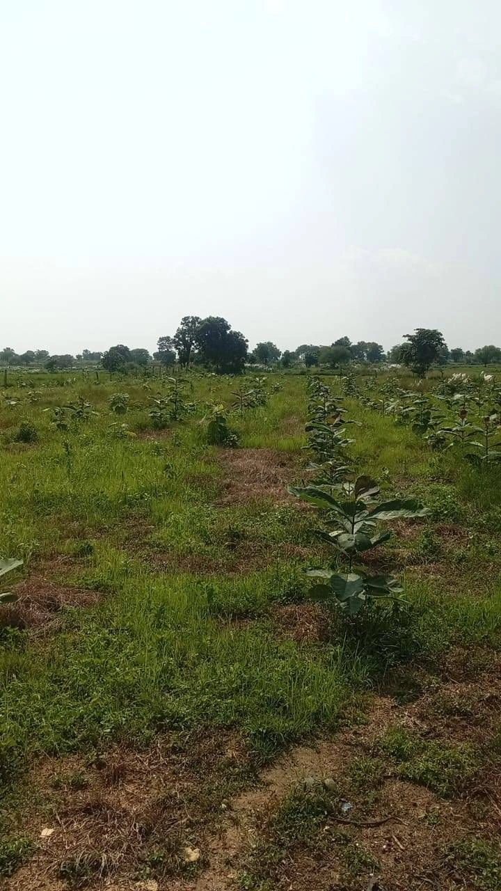 Ramtek, Maharashtra 441106, India