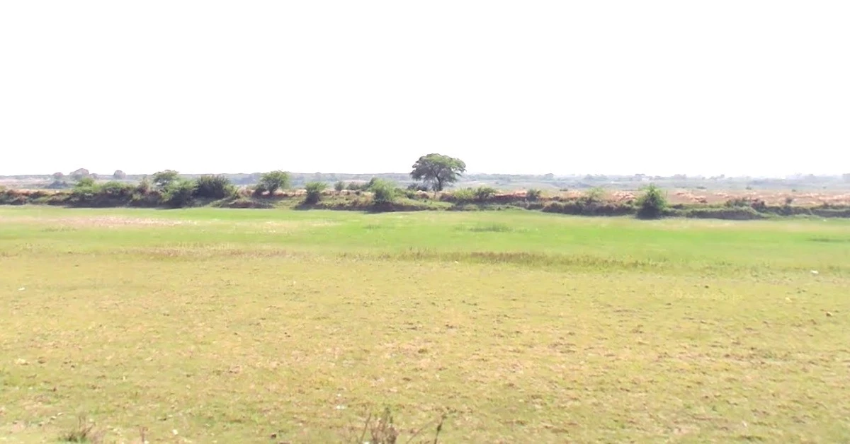 Ner, Madhya Pradesh 480223, India