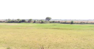 Ner, Madhya Pradesh 480223, India preview 3