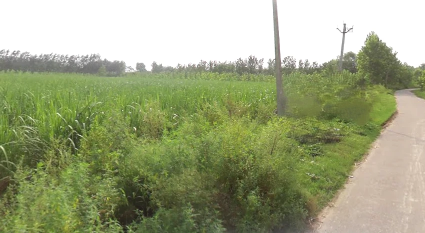 Sarsawa, Uttar Pradesh 247232, India