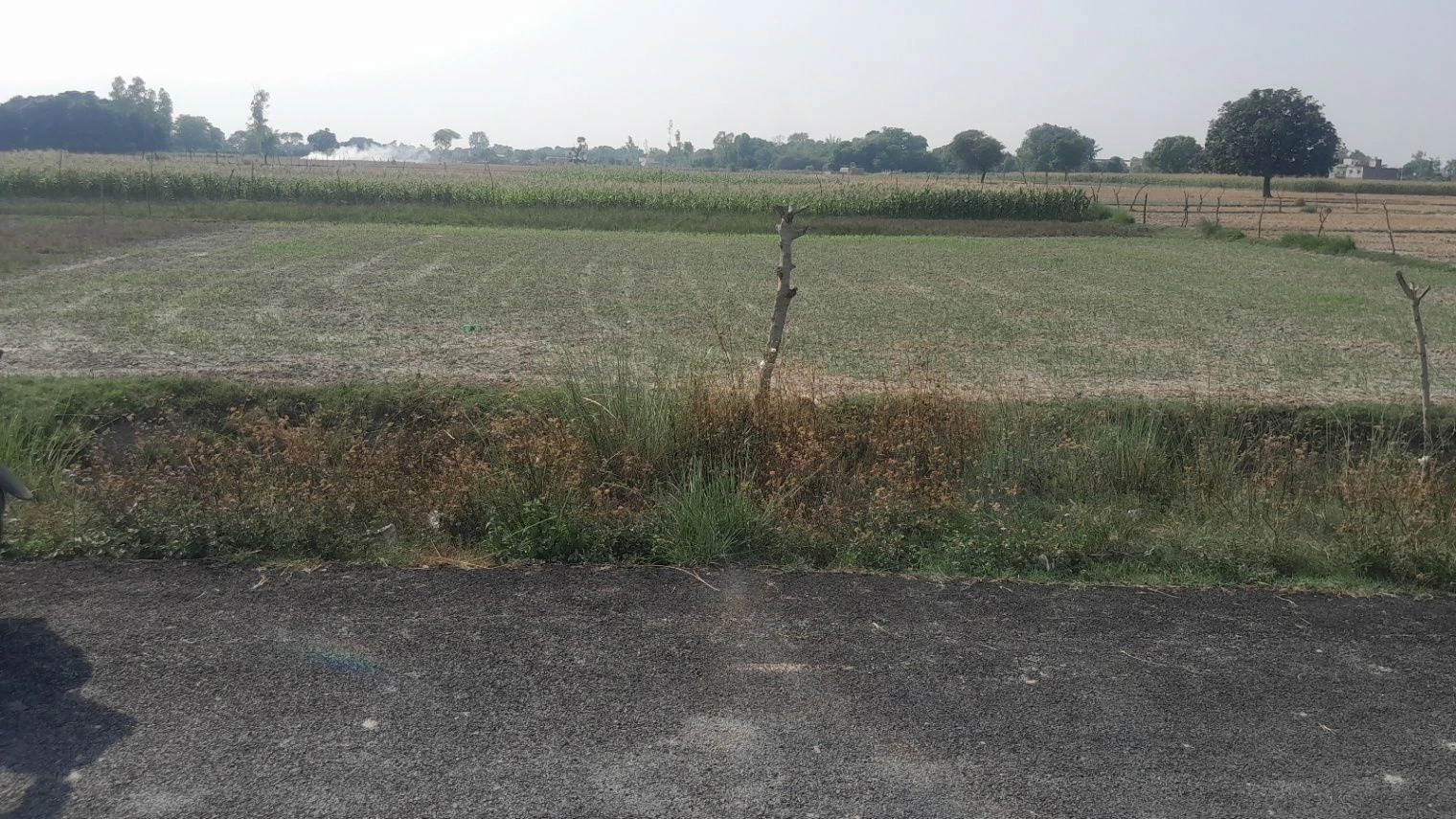 P5FG+WX2, Vill&Post, Dadera, Kazipur Jamin Malikpur, Uttar Pradesh 224133, India