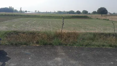 P5FG+WX2, Vill&Post, Dadera, Kazipur Jamin Malikpur, Uttar Pradesh 224133, India preview 3