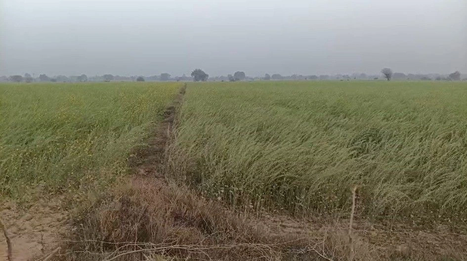 Sukha Patha, Madhya Pradesh, India