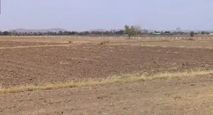 Karadiya, Madhya Pradesh 453001, India preview 2