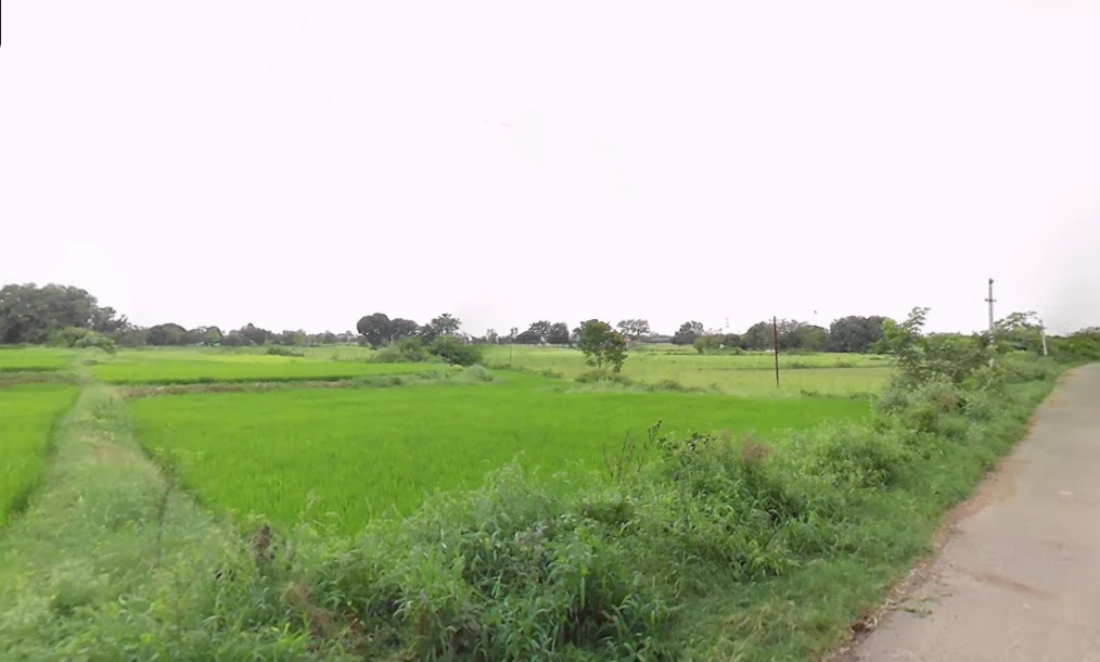 Mucherla, Telangana 509358, India
