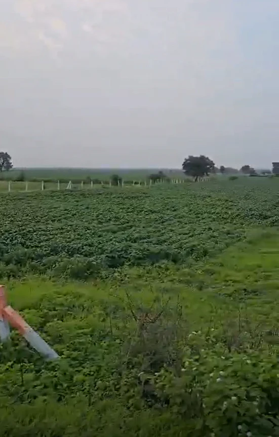 Asawati, Ratlam, Madhya Pradesh 457336, India