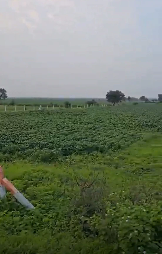 Asawati, Ratlam, Madhya Pradesh 457336, India
