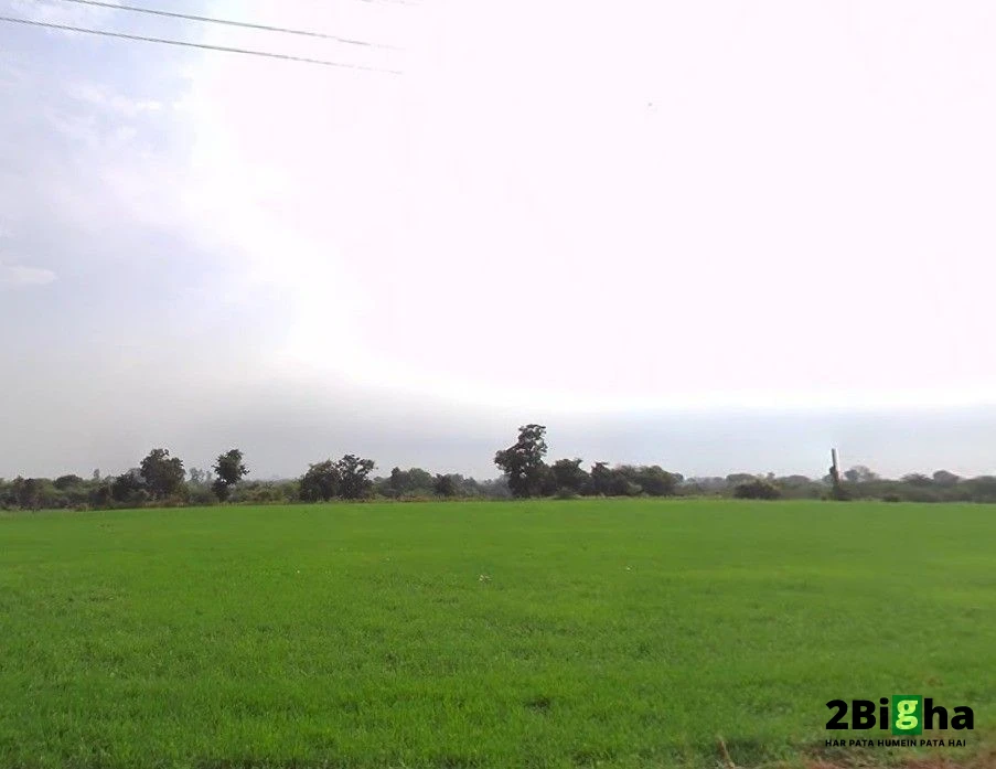 Railway Crossing, Mandideep, Bamuliya Pawar, Bhopal, Madhya Pradesh 462046, India