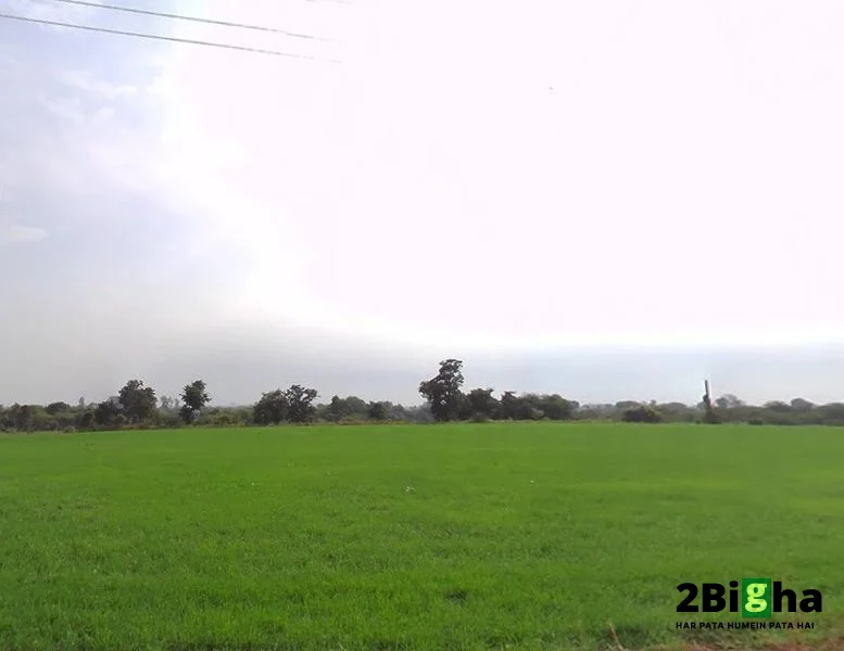 Railway Crossing, Mandideep, Bamuliya Pawar, Bhopal, Madhya Pradesh 462046, India preview 3