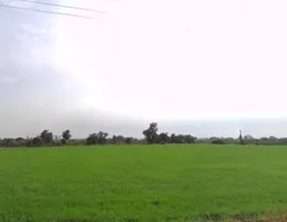 Railway Crossing, Mandideep, Bamuliya Pawar, Bhopal, Madhya Pradesh 462046, India preview 3