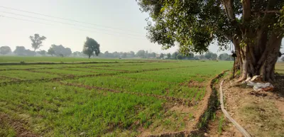 Balachaur, Punjab 144521, India preview 2