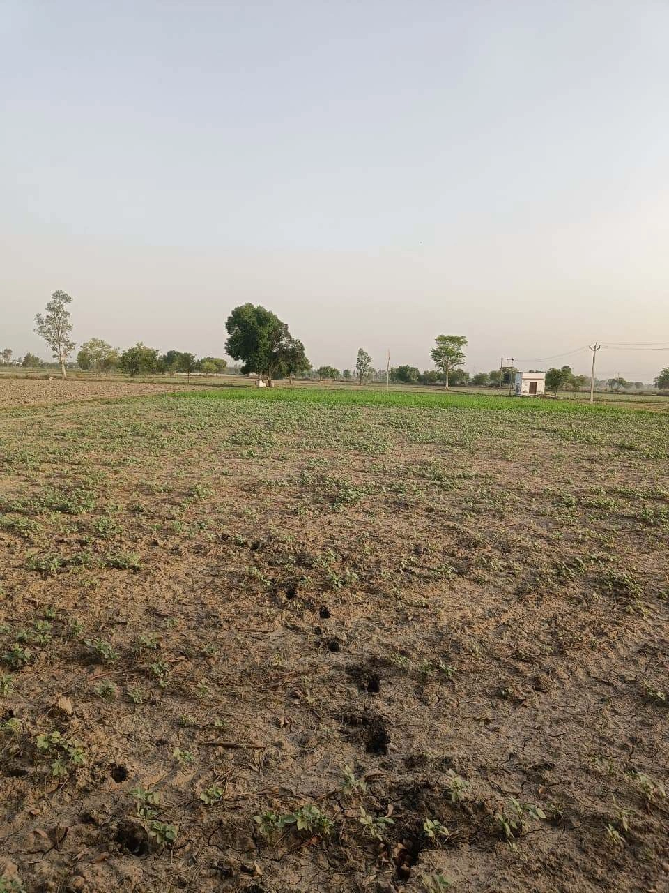 Aloda, Rajasthan 332602, India