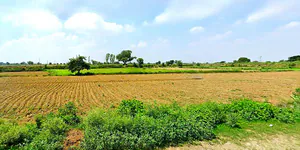 Rudauli, Uttar Pradesh 224120, India preview 3