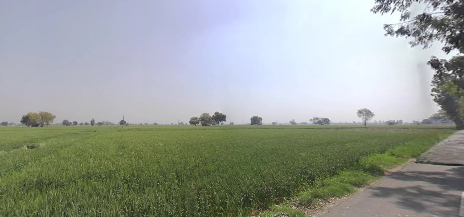 Matour, Haryana, India