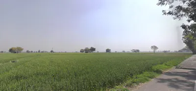 Matour, Haryana, India preview 3