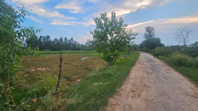 Patna, Faridpur, Bareilly, Uttar Pradesh, India preview 2