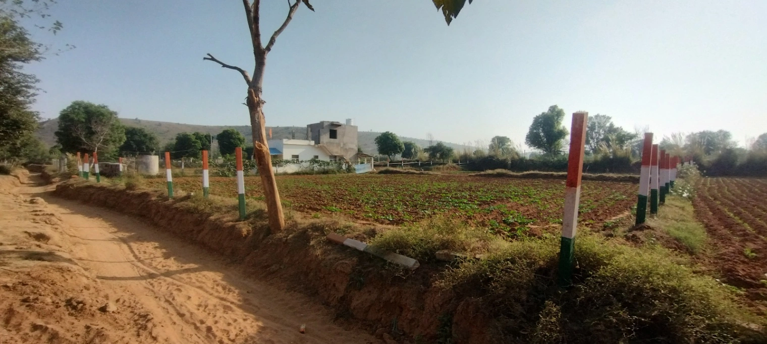 Kerwawal, Rajasthan, India