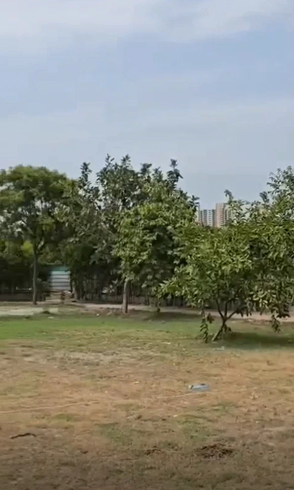 9CXW+X29, Amipur, Haryana 121101, India