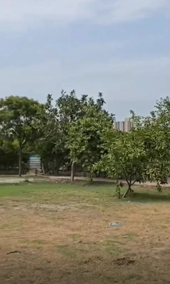 9CXW+X29, Amipur, Haryana 121101, India