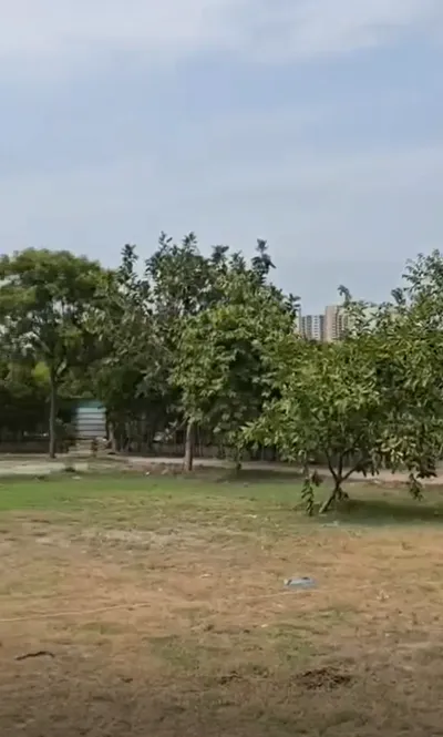 9CXW+X29, Amipur, Haryana 121101, India preview 2
