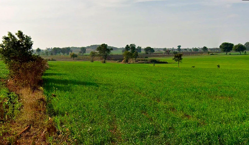 97C6+QXM, Chhindwada, Madhya Pradesh 462036, India preview 3