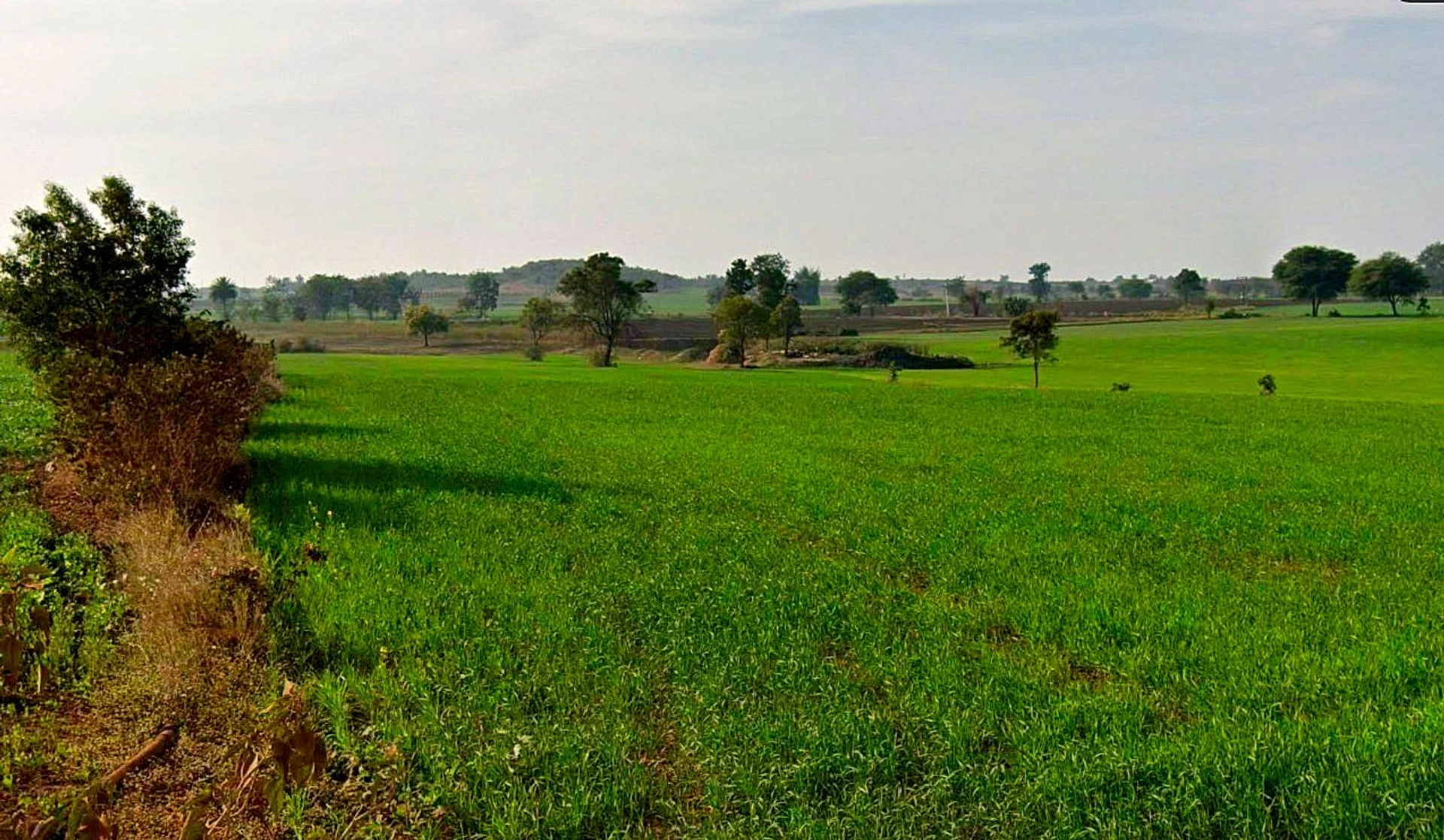 97C6+QXM, Chhindwada, Madhya Pradesh 462036, India