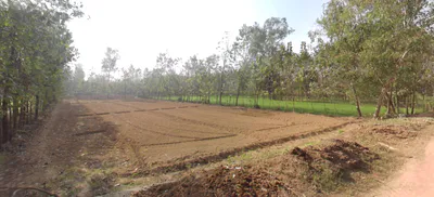 Dada Patti, Uttarakhand 247662, India preview 3