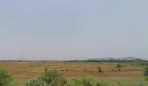 Q3FG+3J7, Jhatiapara, Odisha 755023, India preview 2