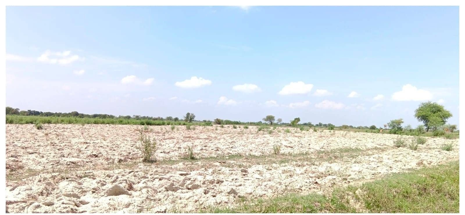 JX8R+HP Mawai Khurd, Uttar Pradesh, India