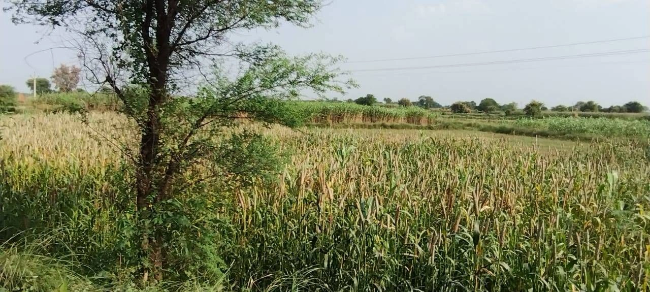 Morni Hills, Panchkula, Haryana, India