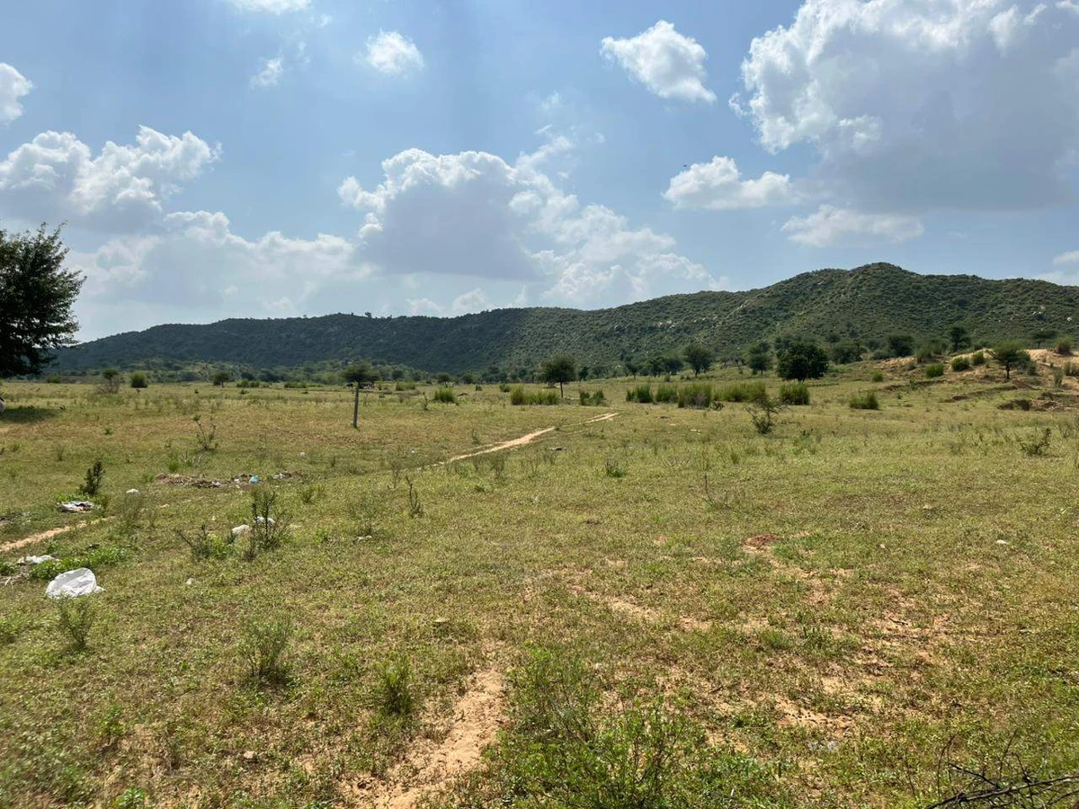 Sangawala, Rajasthan 303002, India