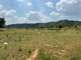 Sangawala, Rajasthan 303002, India preview 3