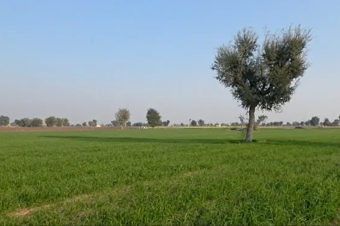 RXQ4+7V2, Kolayat, Rajasthan 334302, India