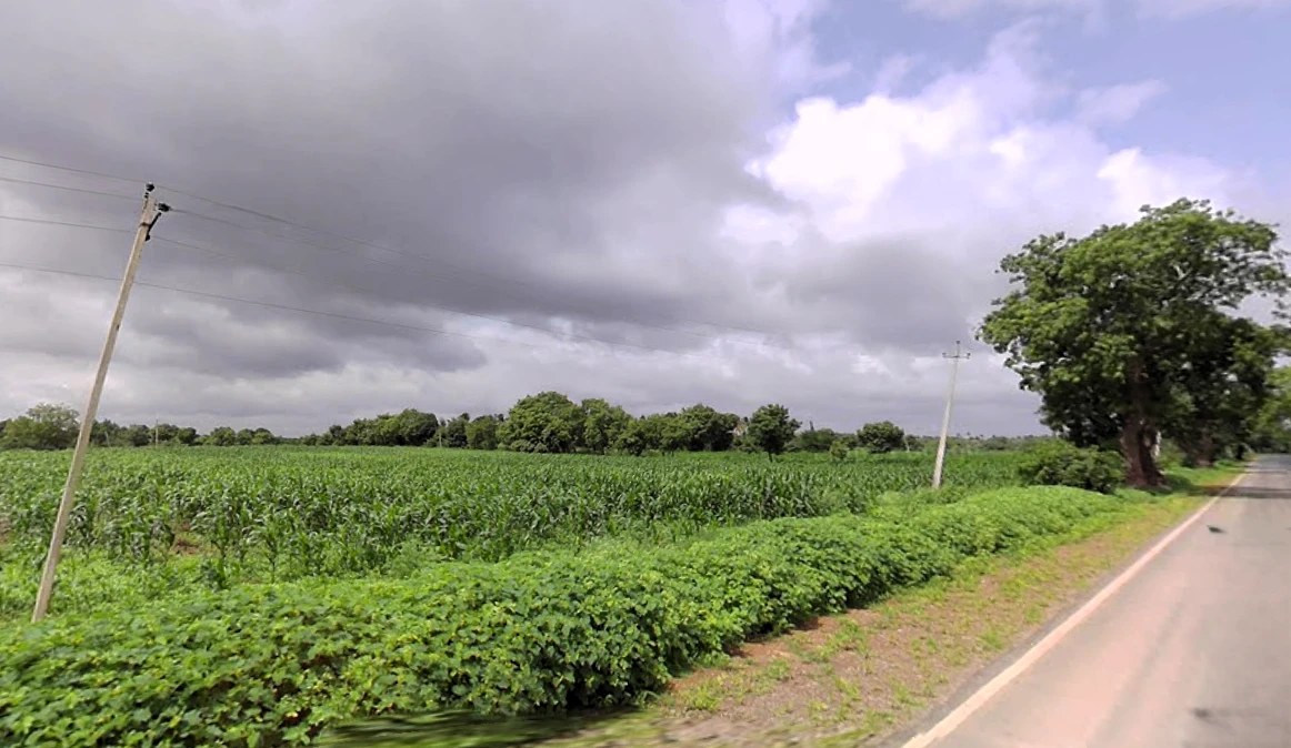 Savanur, Karnataka 581118, India