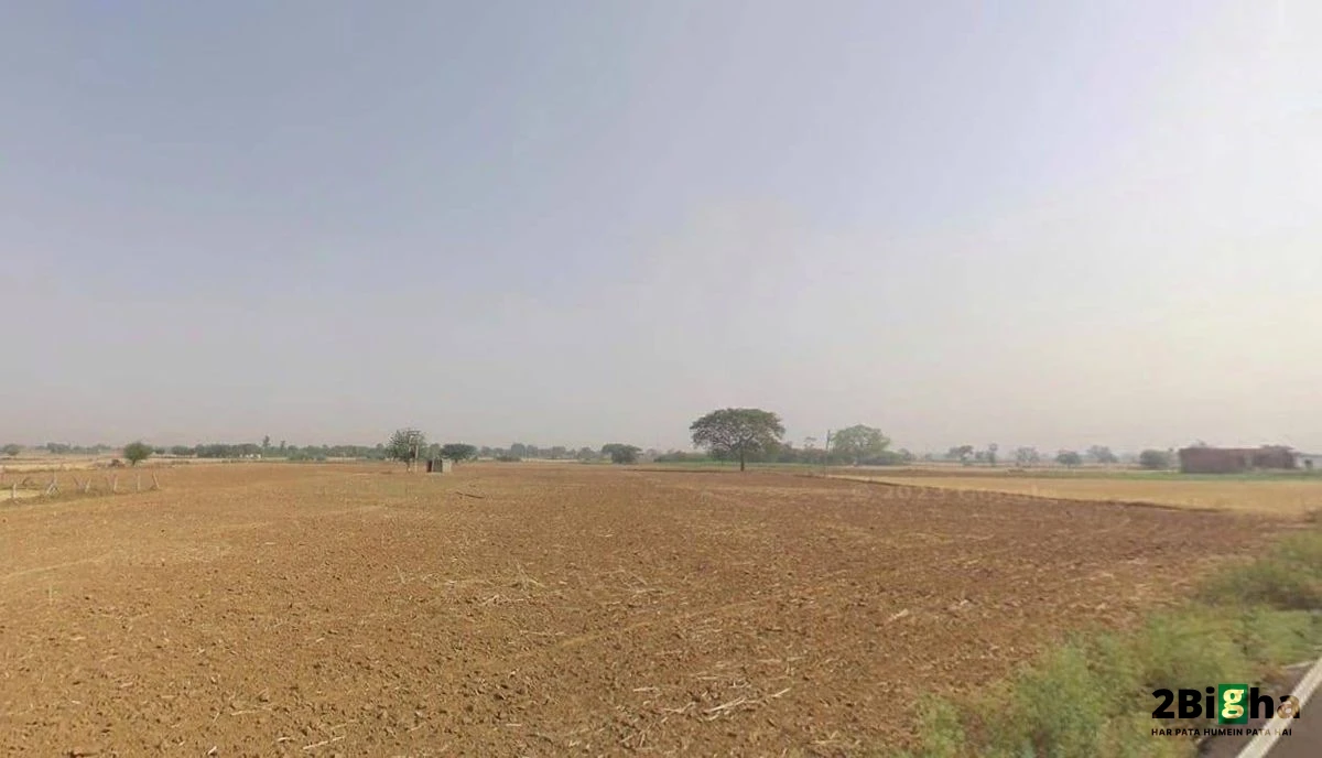 MDR104, Tiwari, Rajasthan 342306, India